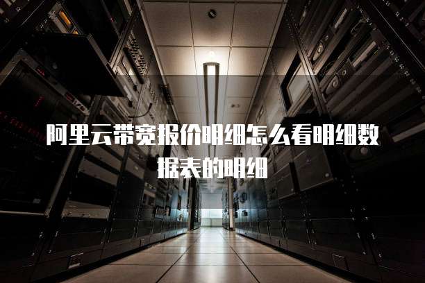 阿里云带宽报价明细怎么看明细数据表的明细