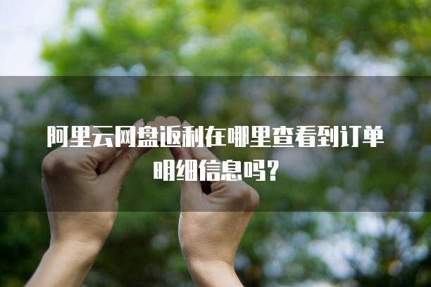 阿里云网盘返利在哪里查看到订单明细信息吗?