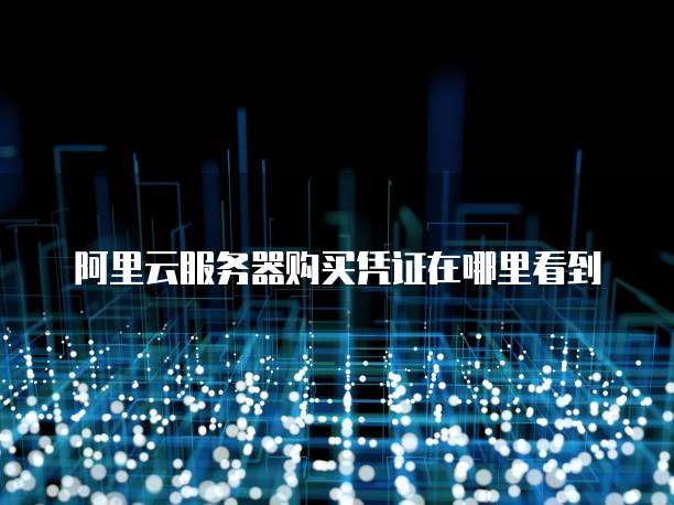 阿里云服务器购买凭证在哪里看到