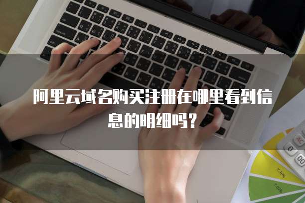 阿里云域名购买注册在哪里看到信息的明细吗?