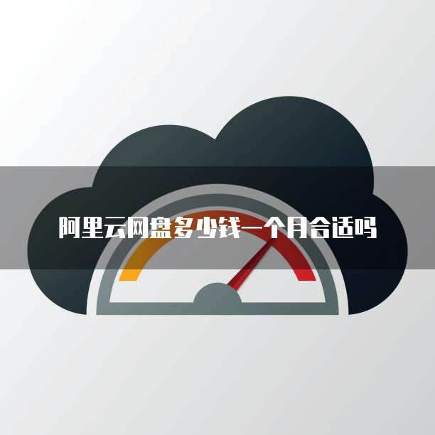 阿里云网盘多少钱一个月合适吗