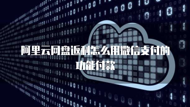 阿里云网盘返利怎么用微信支付的功能付款