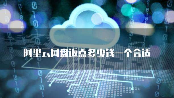 阿里云网盘返点多少钱一个合适