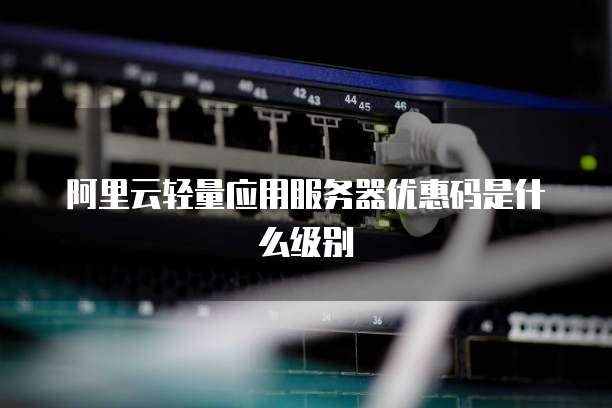 阿里云轻量应用服务器优惠码是什么级别