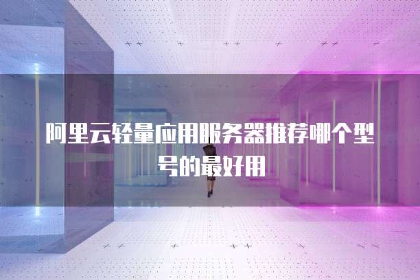 阿里云轻量应用服务器推荐哪个型号的最好用