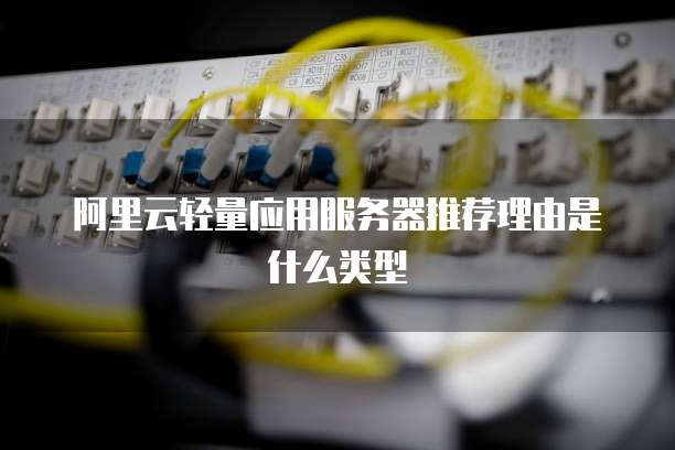 阿里云轻量应用服务器推荐理由是什么类型