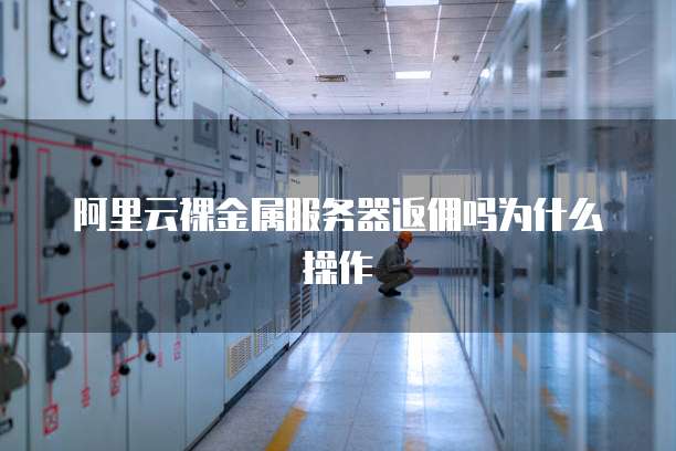 阿里云裸金属服务器返佣吗为什么操作