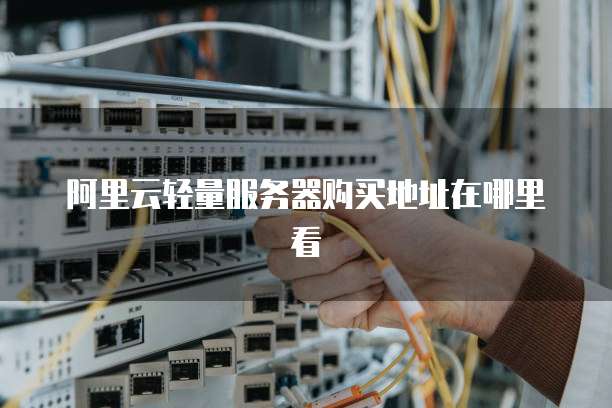 阿里云轻量服务器购买地址在哪里看