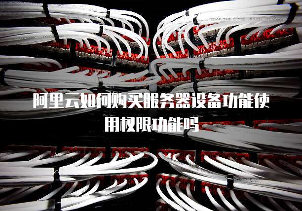 阿里云如何购买服务器设备功能使用权限功能吗