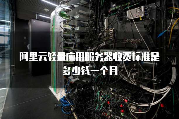 阿里云轻量应用服务器收费标准是多少钱一个月