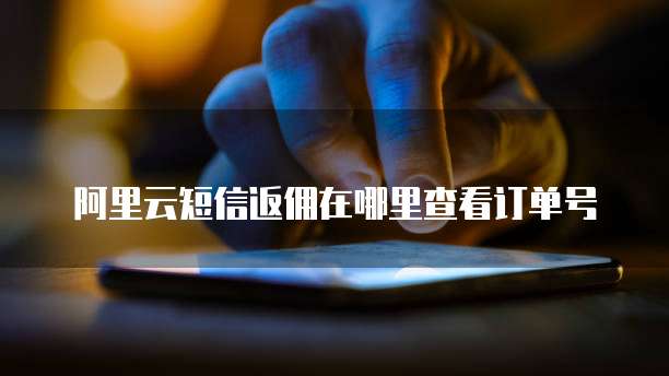 阿里云短信返佣在哪里查看订单号