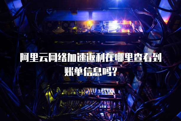阿里云网络加速返利在哪里查看到账单信息吗?