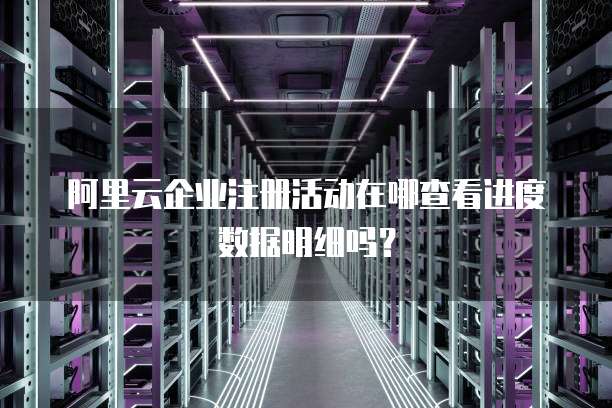 阿里云企业注册活动在哪查看进度数据明细吗?