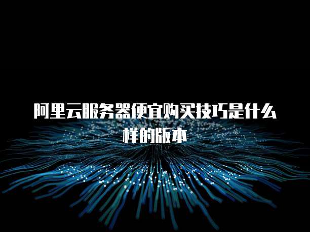 阿里云服务器便宜购买技巧是什么样的版本