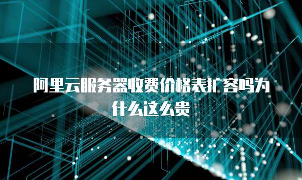 阿里云服务器收费价格表扩容吗为什么这么贵