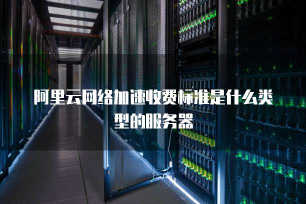 阿里云网络加速收费标准是什么类型的服务器