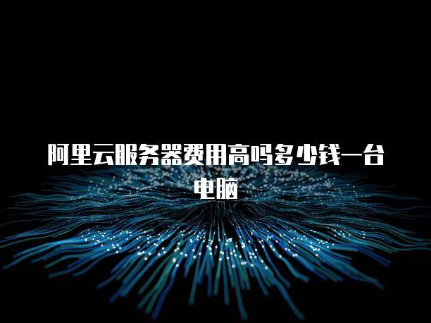 阿里云服务器费用高吗多少钱一台电脑