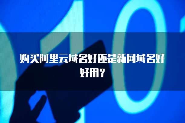 购买阿里云域名好还是新网域名好好用？