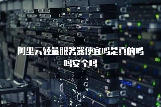 阿里云轻量服务器便宜吗是真的吗吗安全吗