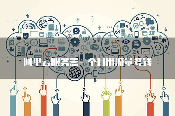 阿里云服务器一个月用流量多钱