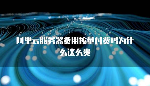阿里云服务器费用按量付费吗为什么这么贵