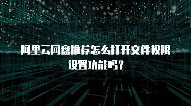 阿里云网盘推荐怎么打开文件权限设置功能吗?