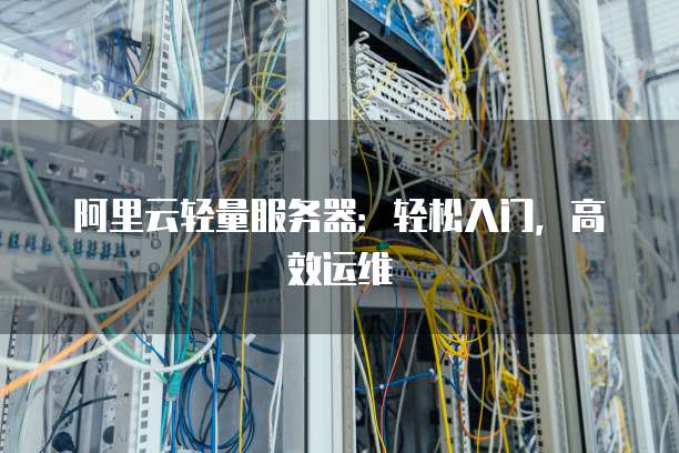 阿里云轻量服务器:轻松入门,高效运维