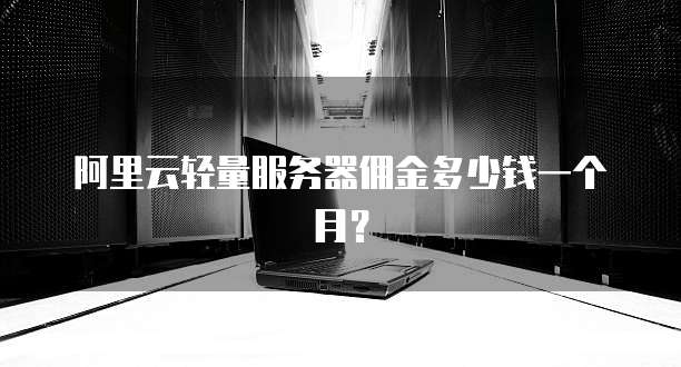 阿里云轻量服务器佣金多少钱一个月?