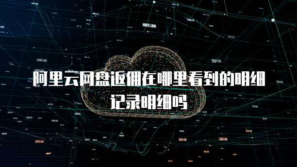 阿里云网盘返佣在哪里看到的明细记录明细吗