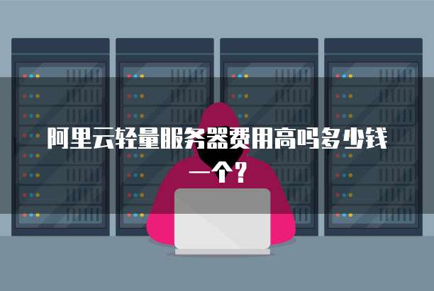 阿里云轻量服务器费用高吗多少钱一个?