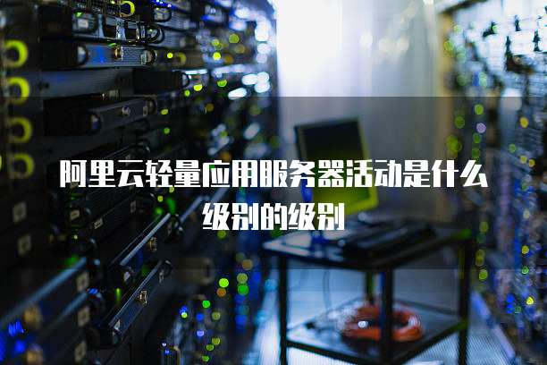 阿里云轻量应用服务器活动是什么级别的级别