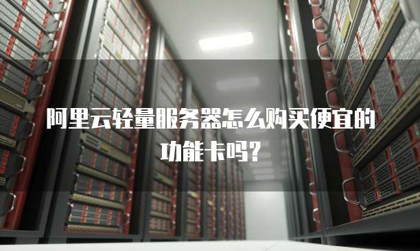 阿里云轻量服务器怎么购买便宜的功能卡吗?