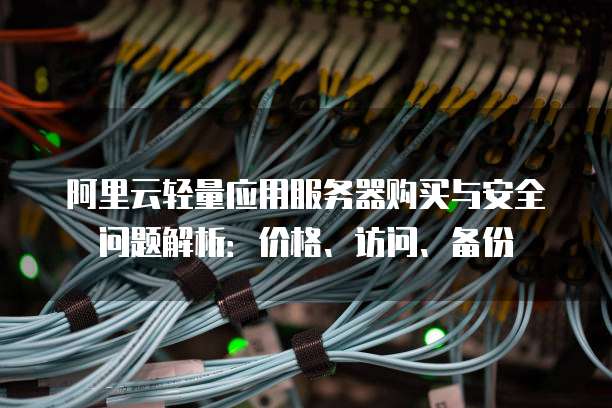 阿里云轻量应用服务器购买与安全问题解析:价格、访问、备份