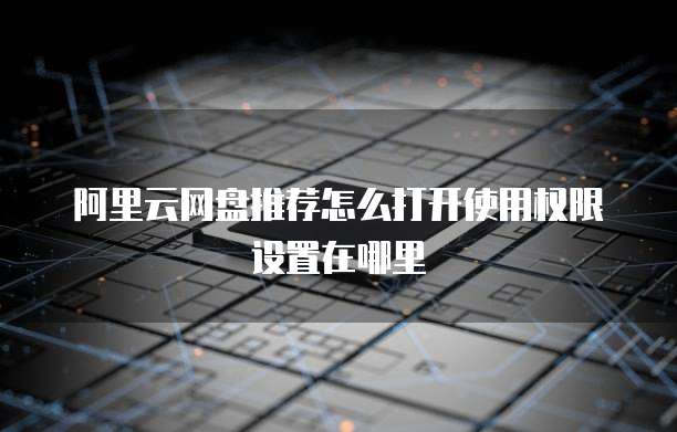 阿里云网盘推荐怎么打开使用权限设置在哪里