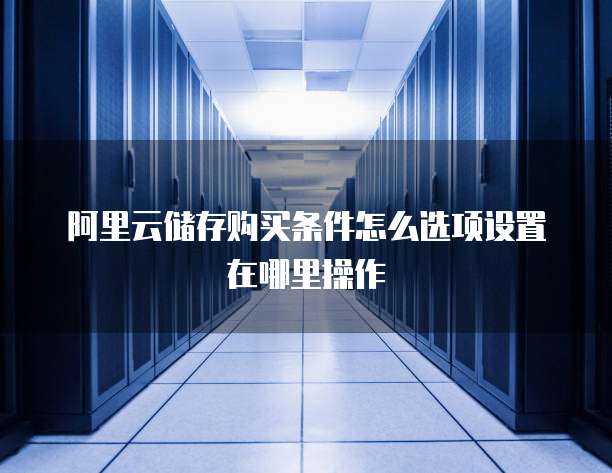 阿里云储存购买条件怎么选项设置在哪里操作