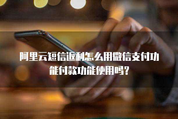阿里云短信返利怎么用微信支付功能付款功能使用吗？