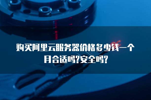 购买阿里云服务器价格多少钱一个月合适吗?安全吗?