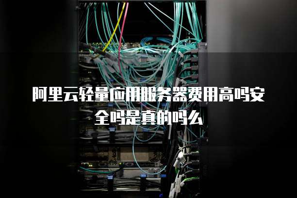 阿里云轻量应用服务器费用高吗安全吗是真的吗么