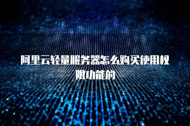 阿里云轻量服务器怎么购买使用权限功能的