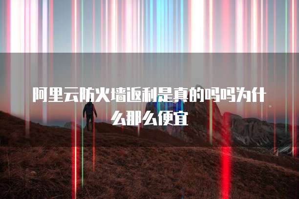 阿里云防火墙返利是真的吗吗为什么那么便宜