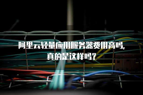 阿里云轻量应用服务器费用高吗，真的是这样吗？