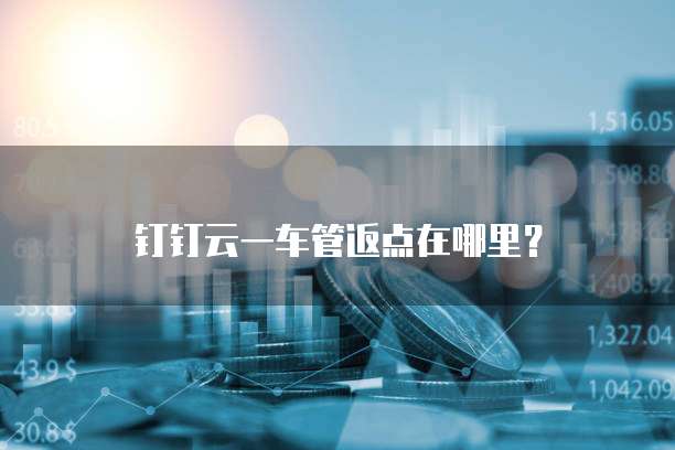 钉钉云一车管返点在哪里?
