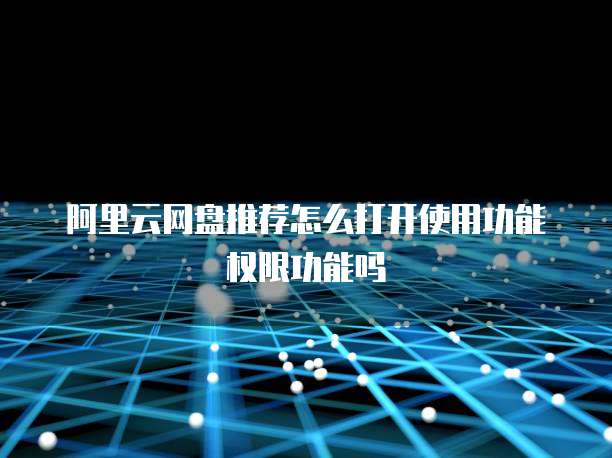 阿里云网盘推荐怎么打开使用功能权限功能吗