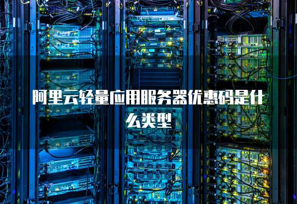阿里云轻量应用服务器优惠码是什么类型