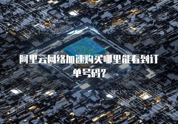 阿里云网络加速购买哪里能看到订单号码?