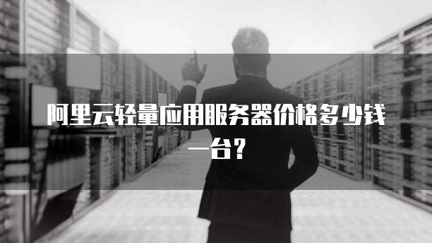 阿里云轻量应用服务器价格多少钱一台?