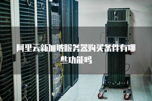 阿里云新加坡服务器购买条件有哪些功能吗