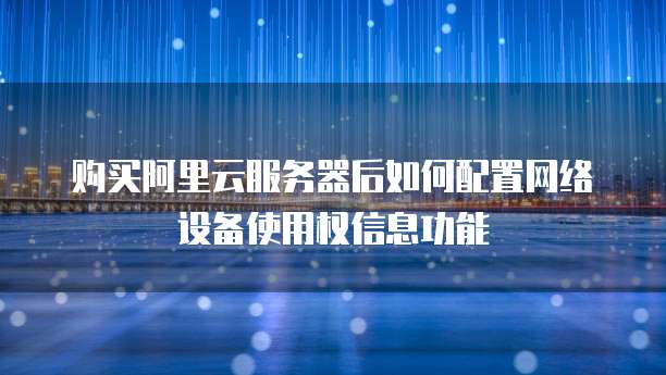 购买阿里云服务器后如何配置网络设备使用权信息功能