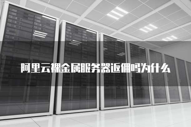 阿里云裸金属服务器返佣吗为什么