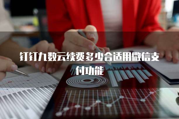 钉钉九数云续费多少合适用微信支付功能